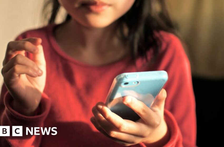 'Argument won' on smartphones in schools, minister says