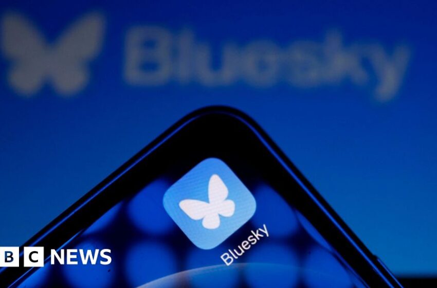 X users jump to Bluesky – but what is it and who owns it?