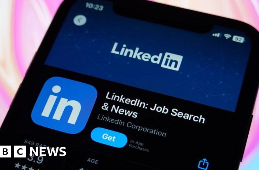 LinkedIn: We’re too boring for kids for social media ban