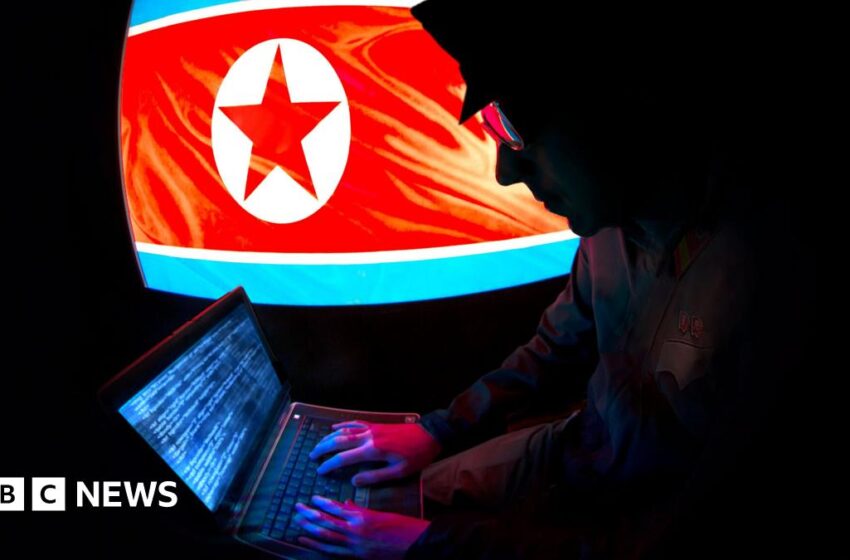 N Korea made millions from remote work scheme, US says