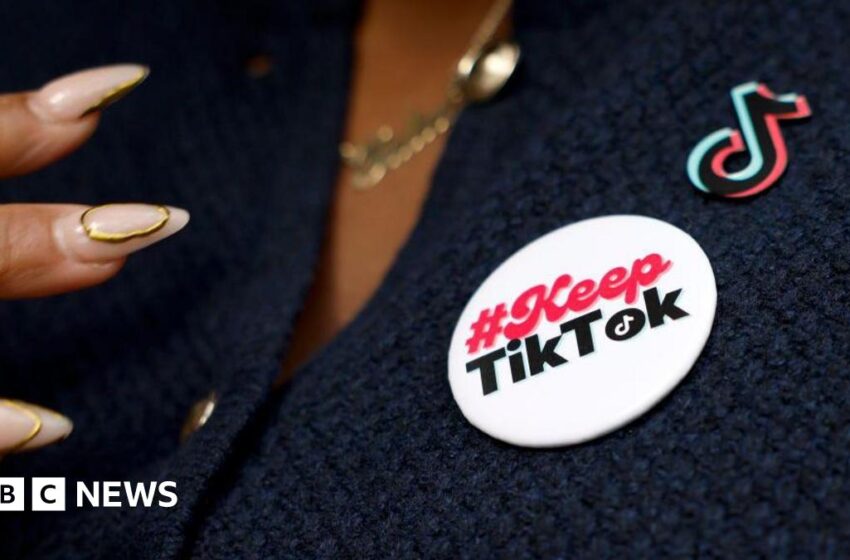 Supreme Court to hear TikTok’s last gasp bid to avoid US ban