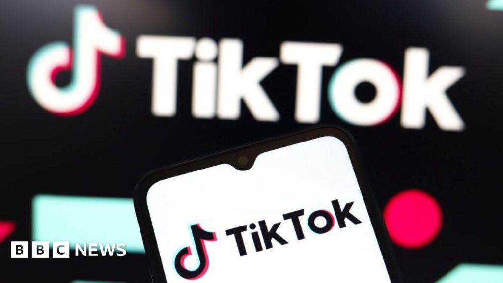 TikTok asks for emergency pause to looming US ban