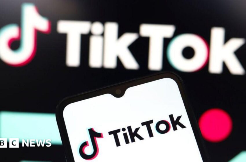 TikTok asks for emergency pause to looming US ban