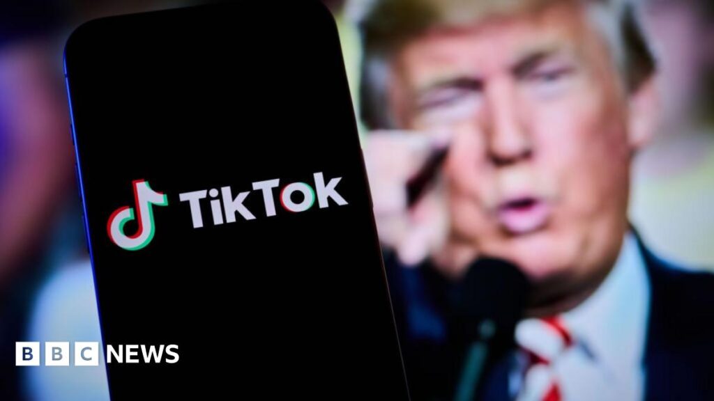 TikTok restoring services in US after Trump pledge