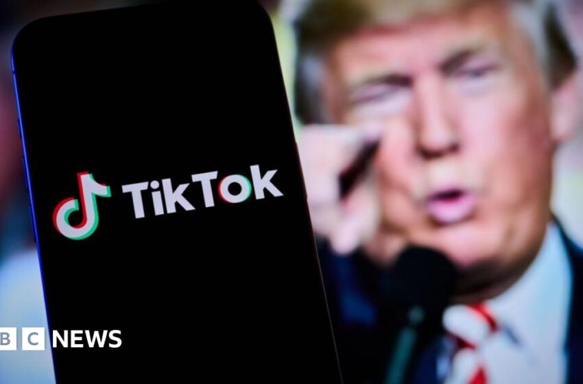 TikTok restoring services in US after Trump pledge