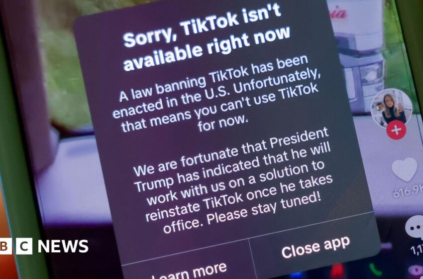 TikTok goes offline in the US hours before ban comes in