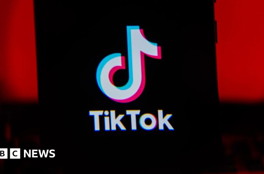 TikTok says data of four dead British teens may have been removed