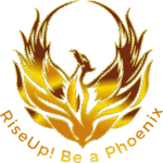Beaphoenix Web Design Agency